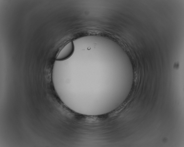 X0000096630666200802050935