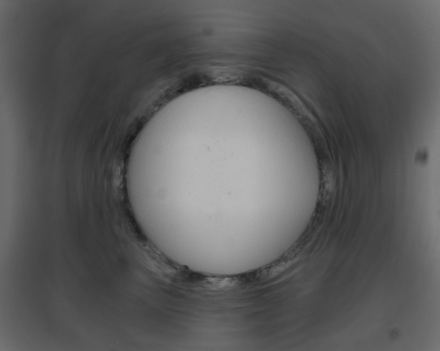 X0000096630667200802050935