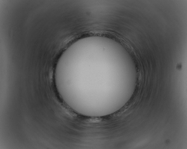 X0000096630668200802050935