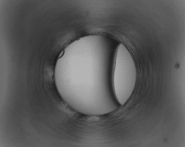 X0000096630669200802050935