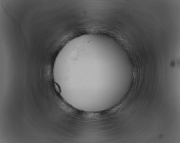 X0000096630670200802050935