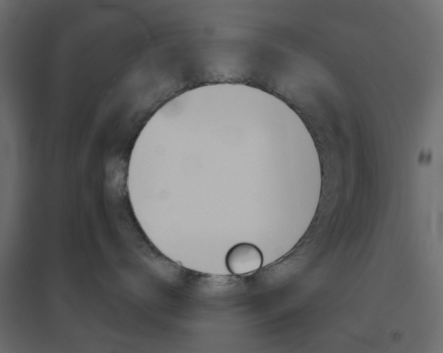 X0000096630672200802050935