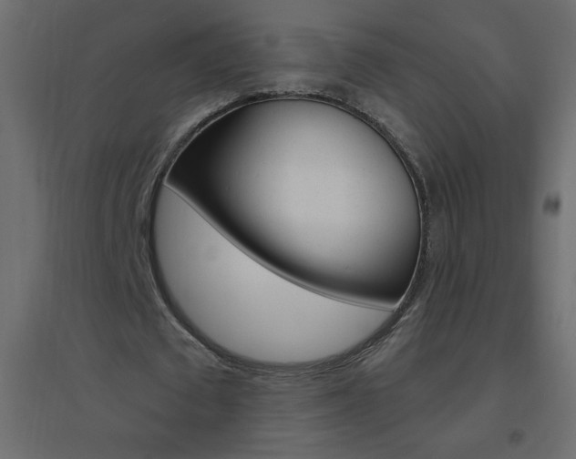 X0000096630673200802050935