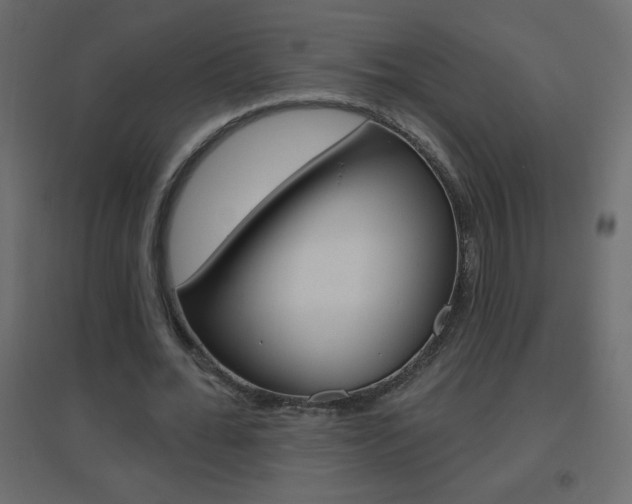 X0000096630676200802050935