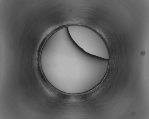 X0000096630678200802050935