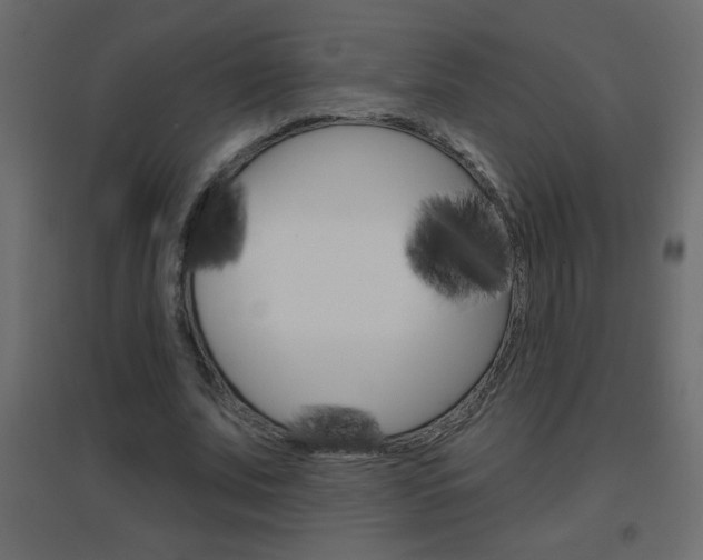 X0000096630679200802050934