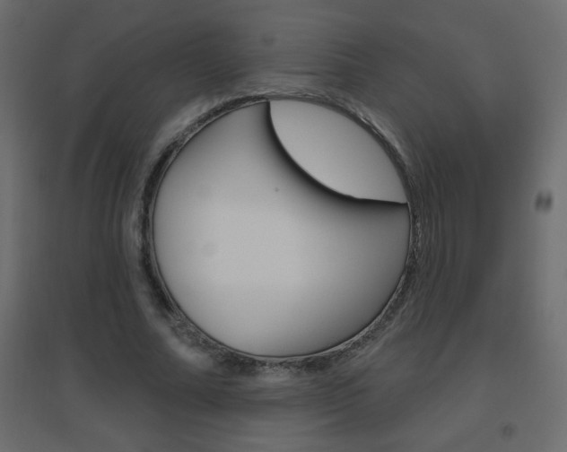 X0000096630682200802050934