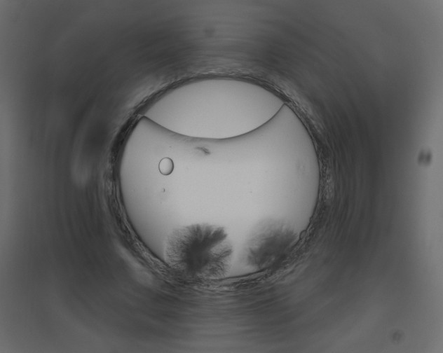 X0000096630683200802050934