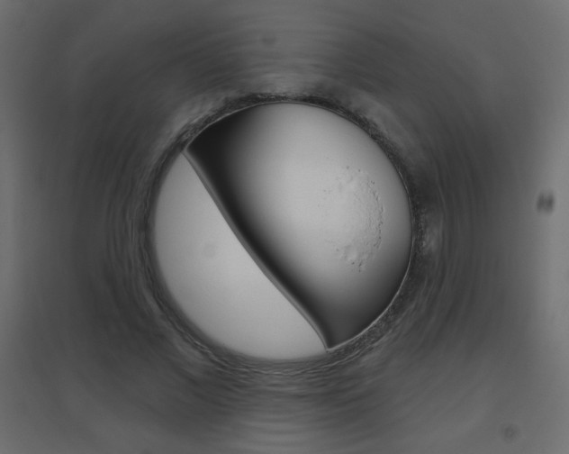 X0000096630685200802050934