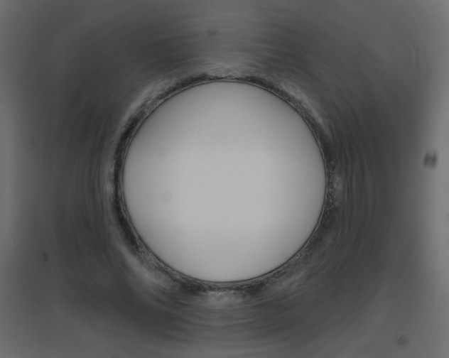 X0000096630686200802050934