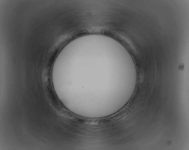 X0000096630687200802050934