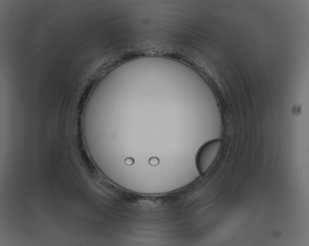 X0000096630690200802050934