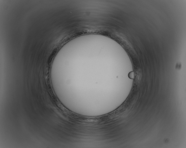 X0000096630691200802050934