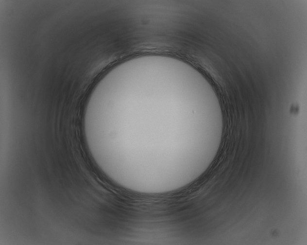 X0000096630692200802050934