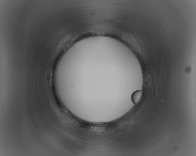 X0000096630694200802050934