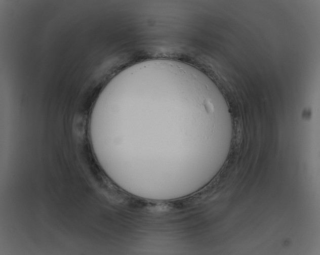 X0000096630695200802050934