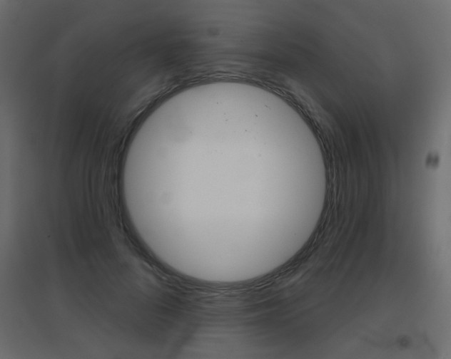 X0000096630696200802050934
