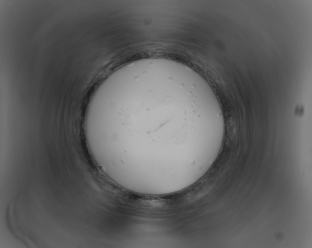 X0000096630698200802050934