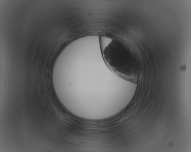 X0000096630699200802050934