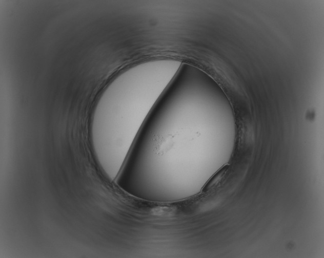 X0000096630700200802050934