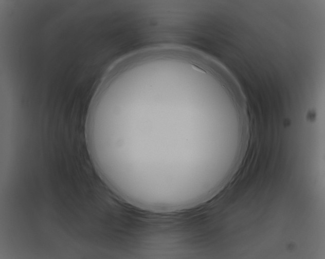 X0000096630701200802050934