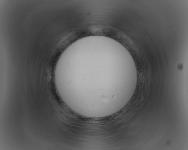 X0000096630702200802050934