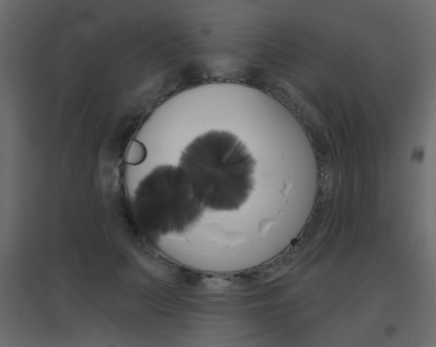 X0000096630703200802050934