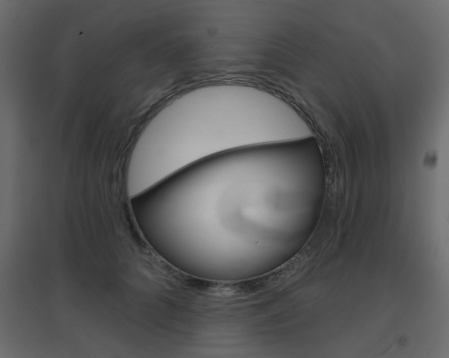 X0000096630704200802050934