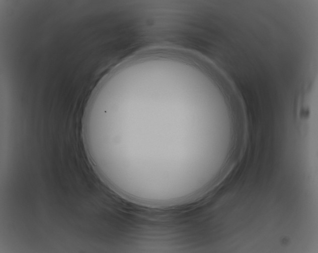 X0000096630705200802050934