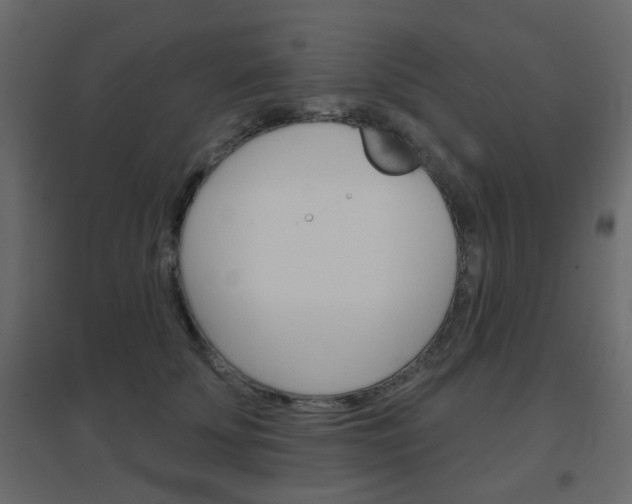 X0000096630707200802050934
