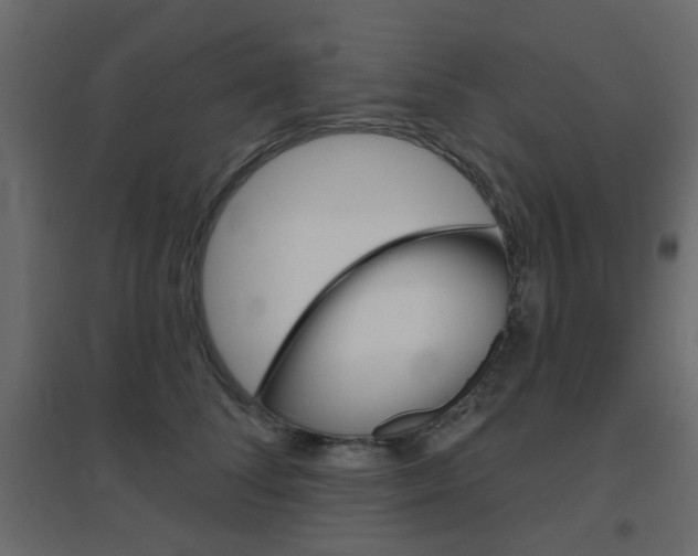 X0000096630708200802050934