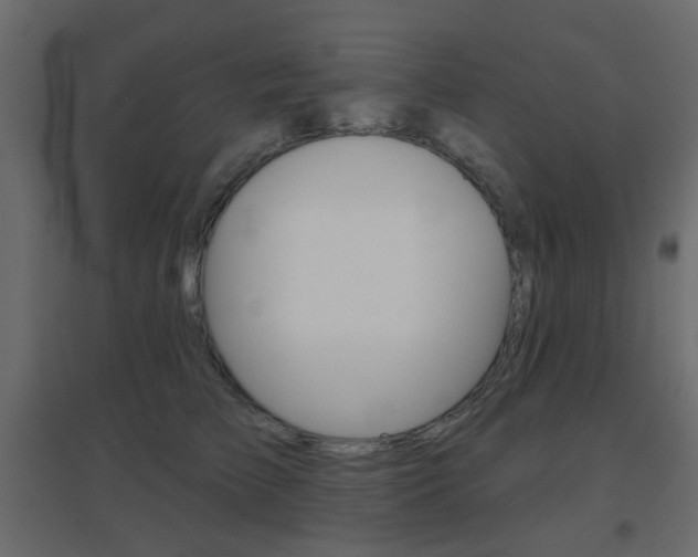 X0000096630709200802050934