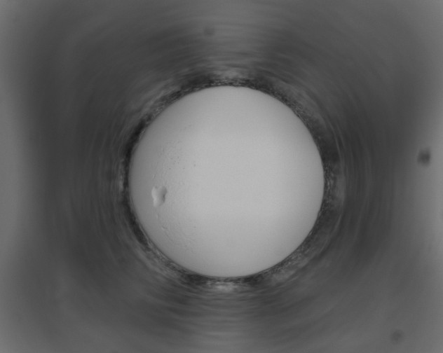 X0000096630710200802050934