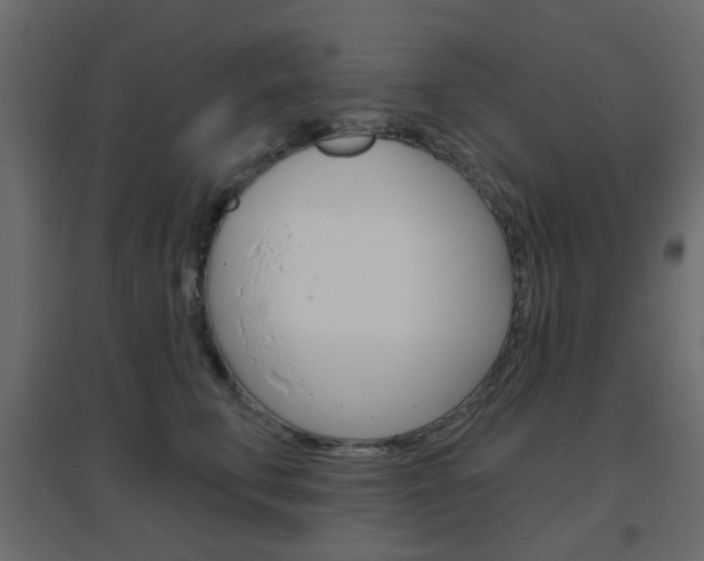X0000096630711200802050934