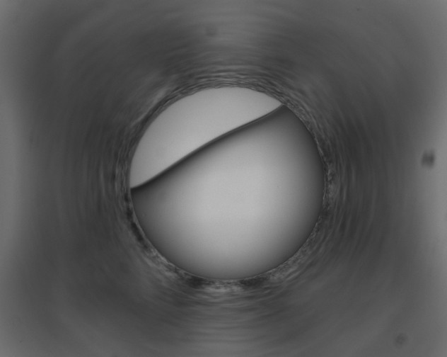 X0000096630712200802050934