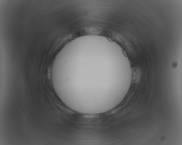 X0000096630713200802050934