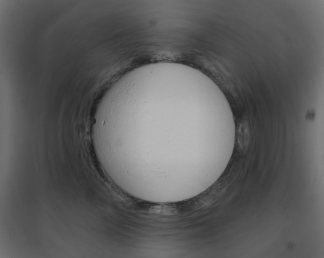 X0000096630714200802050934