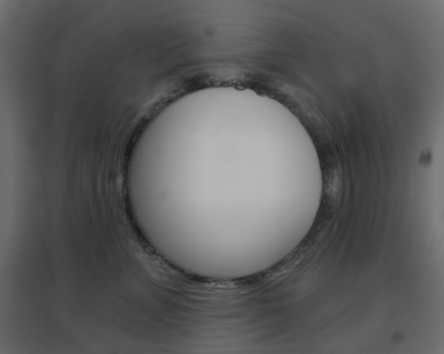 X0000096630715200802050934