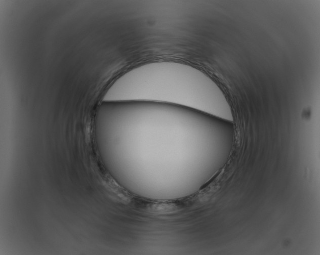 X0000096630716200802050934