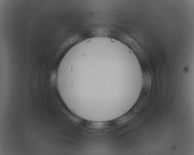 X0000096630717200802050934
