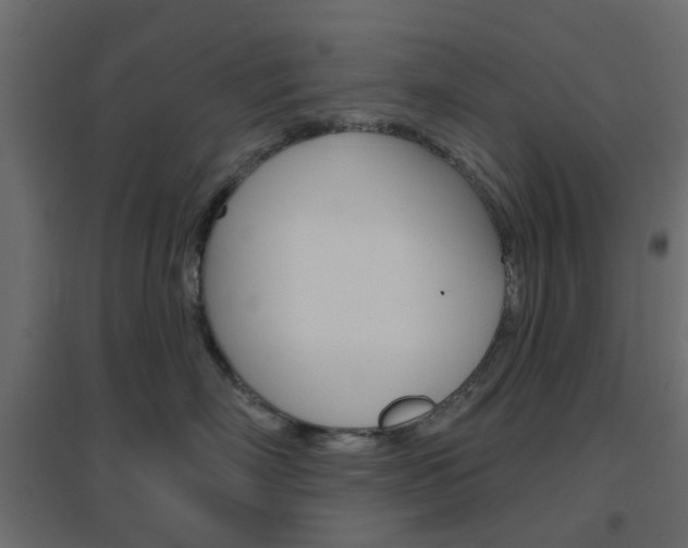 X0000096630718200802050934
