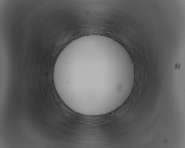 X0000096630720200802050934