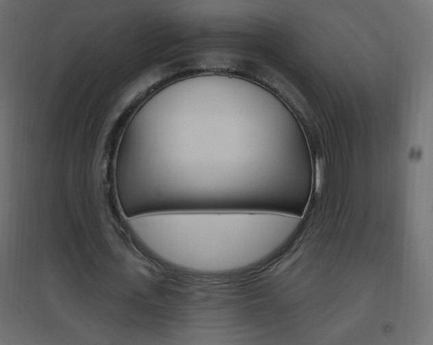 X0000096630723200802050933