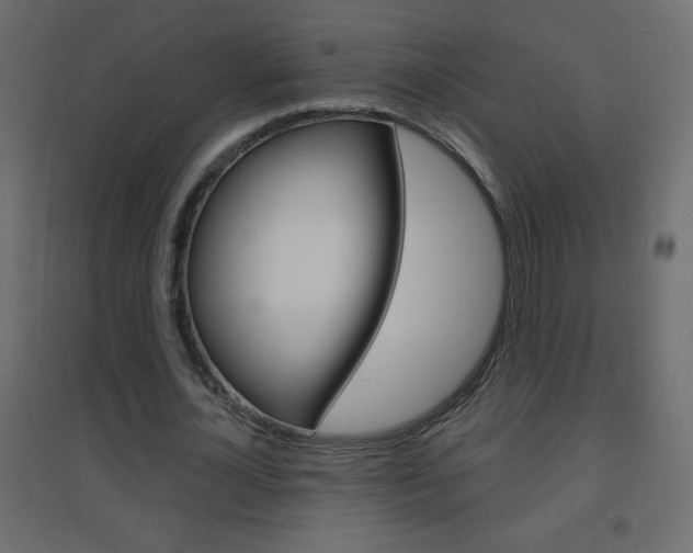 X0000096630724200802050933