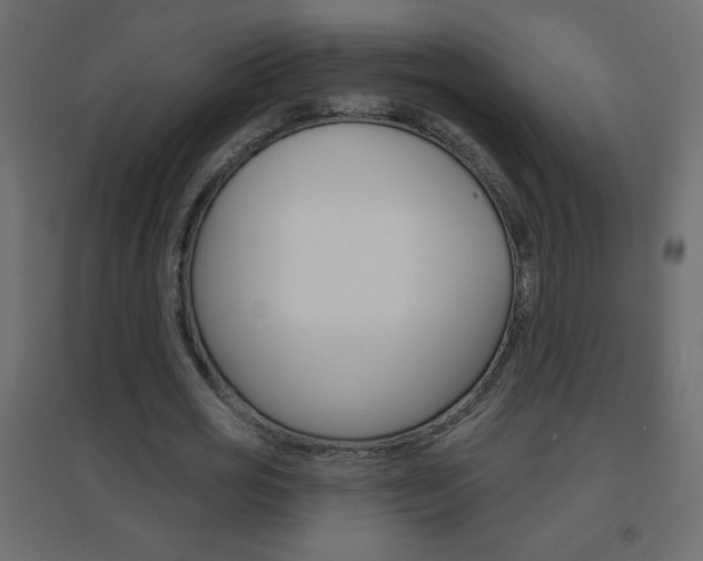X0000096630725200802050933