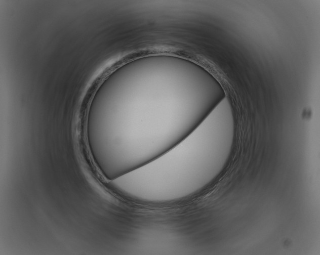 X0000096630726200802050933