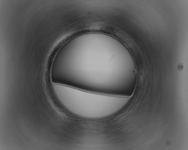 X0000096630728200802050933