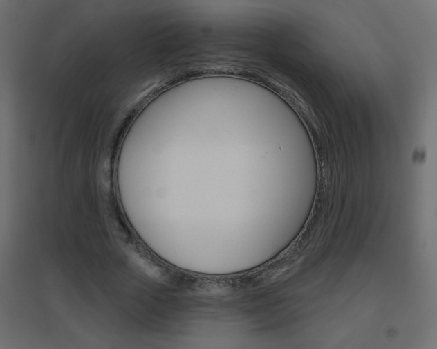 X0000096630729200802050933