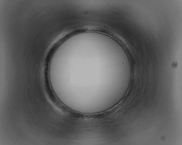 X0000096630730200802050933