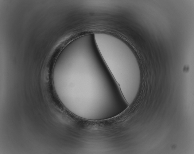 X0000096630731200802050933